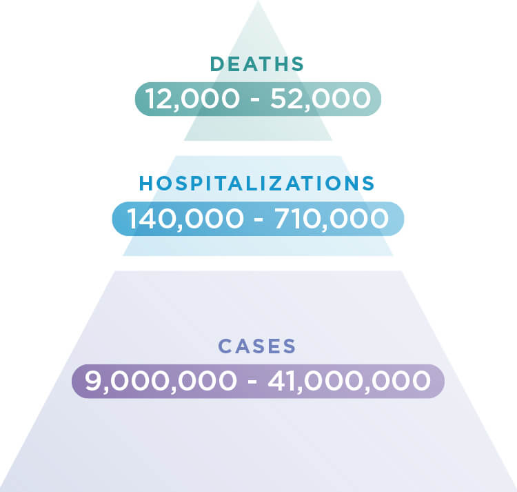 Annual effects of flu in U.S.